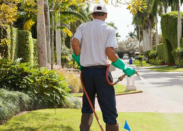 About Lander WY Pest Control